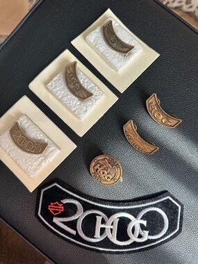 Vintage Harley Davidson Harley Owners Group Pins and Patch